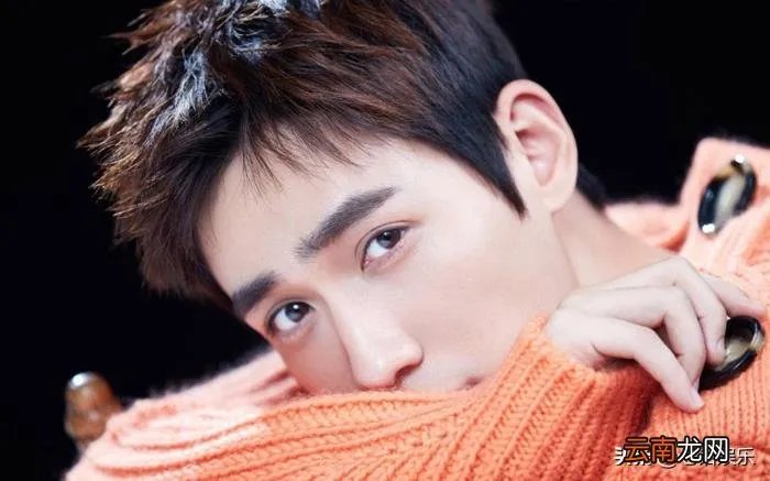 细说这四位为灾区捐款的明星 雅安地震明星捐款