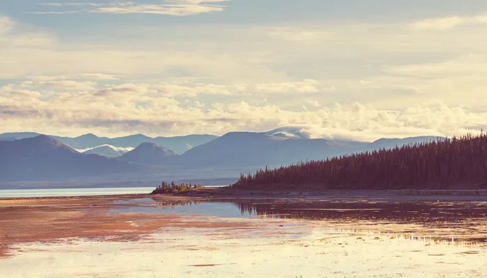 申请公费留学条件