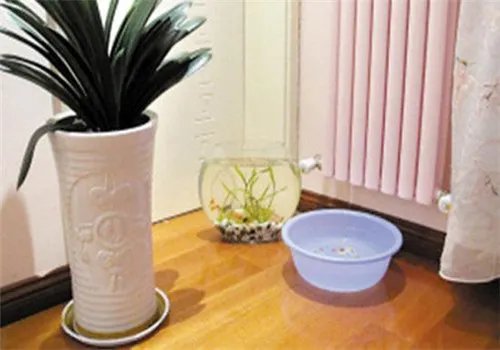 装修去味方法大全2018 新房装修用什么除味