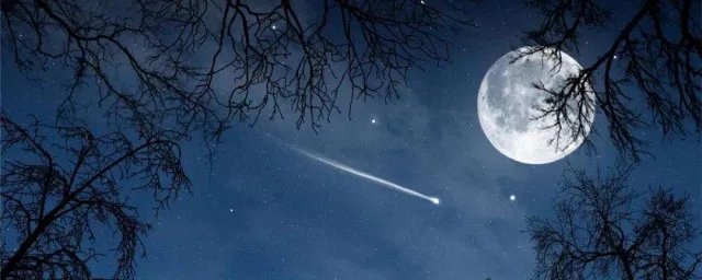 千里共婵娟是指爱情吗？ 指的是什么