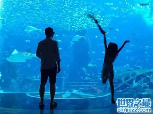 王菲李亚鹏女儿李嫣照片，天生唇腭裂却自信可爱 