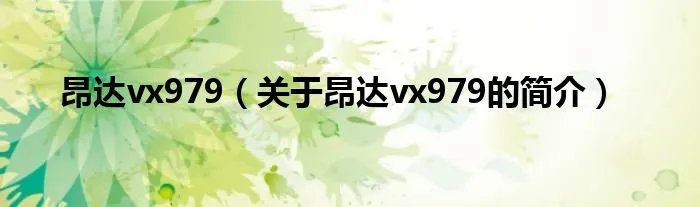 昂达vx979（关于昂达vx979的简介）