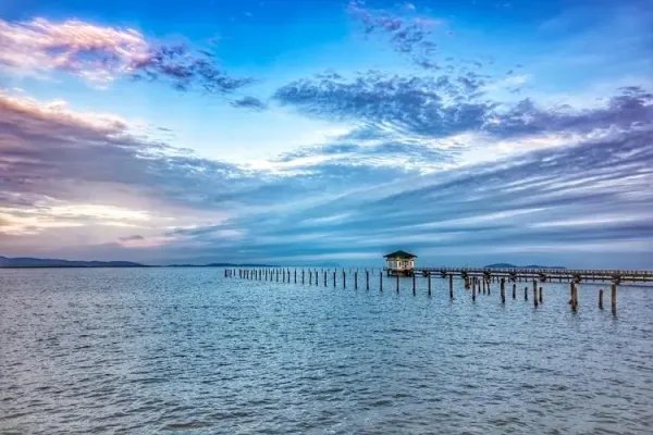 轿车坠湖 两工人用挖掘机接力救人