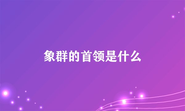 象群的首领是什么