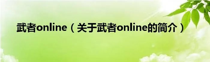 武者online（关于武者online的简介）