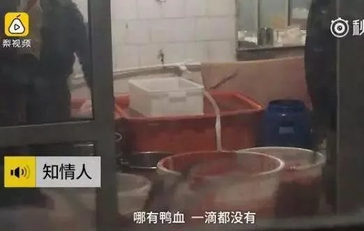 曝包贝尔火锅店“空运鸭血