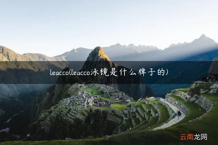 leacco泳镜是什么牌子的 leacco