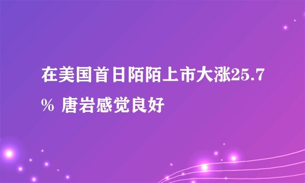 在美国首日陌陌上市大涨25.7% 唐岩感觉良好