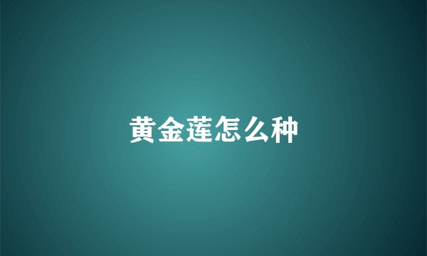 黄金莲怎么种