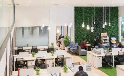 集体所有制企业怎么改制