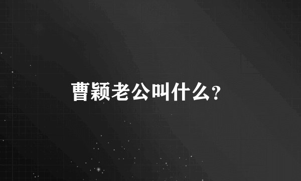 曹颖老公叫什么?