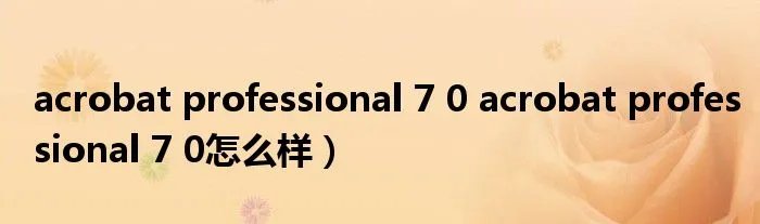 acrobat professional 7 0 acrobat professional 7 0怎么样)