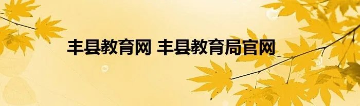 丰县教育网 丰县教育局官网