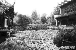 如何成为美食家？