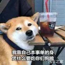 女子接吻被测出酒驾！交警：亲的时间比较长