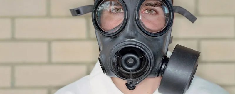 防毒面具是根据什么动物的脸制成的 防毒面具是根据什么动物的脸制作的