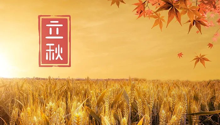 2021立秋说说发朋友圈 立秋发朋友圈的句子大全