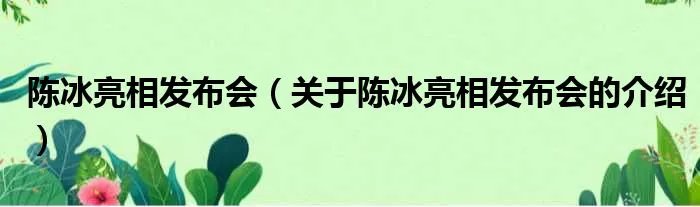 陈冰亮相发布会(关于陈冰亮相发布会的介绍)