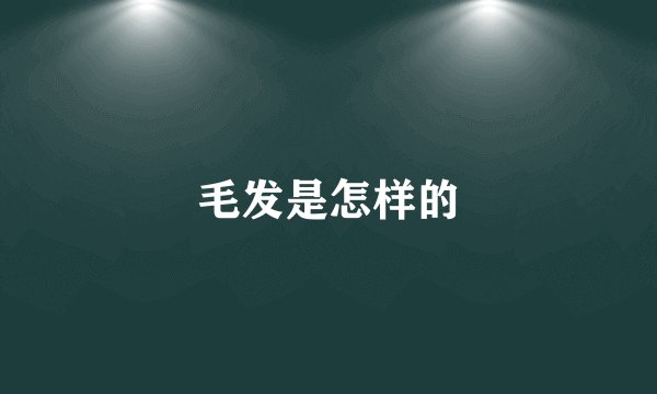 毛发是怎样的