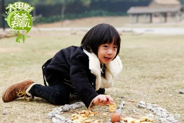 对于娱乐圈明星的孩子上真人秀有什么看法?这会影响孩子成长吗?
