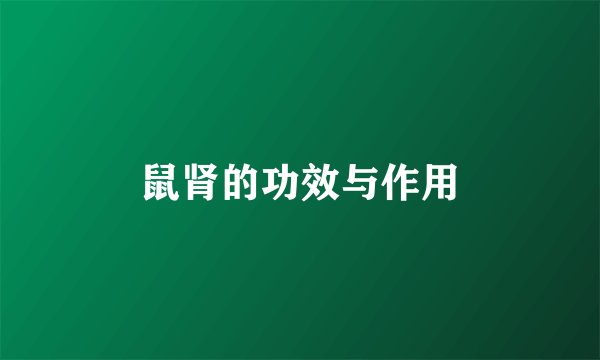 鼠肾的功效与作用