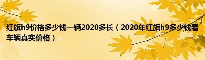 红旗h9价格多少钱一辆2020多长（2020年红旗h9多少钱看车辆真实价格）