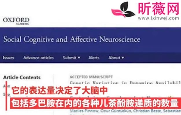 拖延症基因找到了怎么回事:详情揭晓及教你纠正拖延