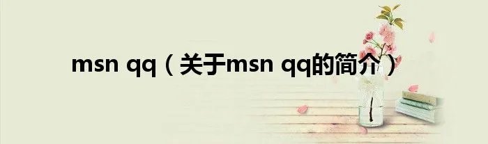msn qq(关于msn qq的简介)