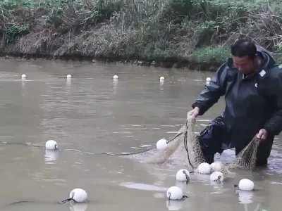 四川高温停电致数万斤鱼缺氧死亡!怎样可以将损失降到最低?