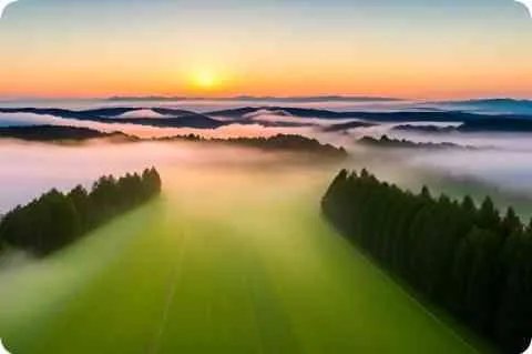 什么是『娈童』