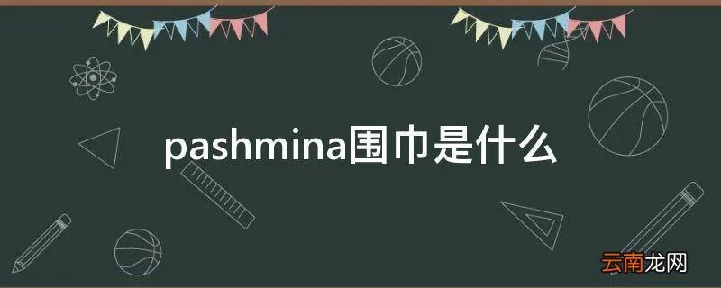 pashmina围巾是什么