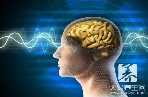 吃什么提神补脑呢