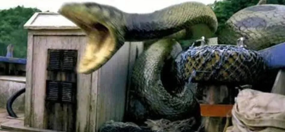 挖出大蛇真实事件 挖土机挖出17米巨蟒图(司机当场吓死)