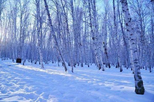 东北华北局地降温超过10℃，这个冬天回来的更早一些吗？