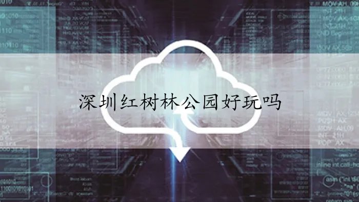 深圳红树林公园好玩吗