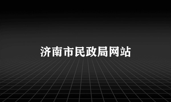 济南市民政局网站