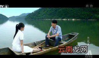 兰花香剧情介绍 电视剧兰花香剧情介绍