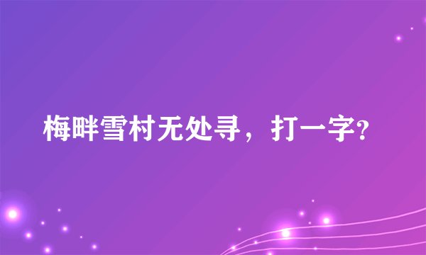 梅畔雪村无处寻，打一字？