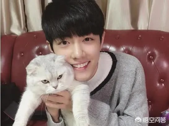 做肖战的女性朋友是什么感觉？