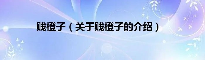 贱橙子（关于贱橙子的介绍）