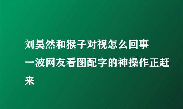 刘昊然和猴子对视怎么回事 一波网友看图配字的神操作正赶来