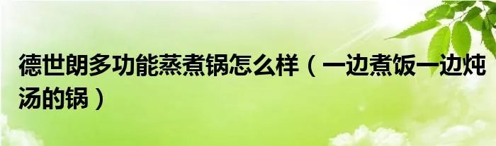 德世朗多功能蒸煮锅怎么样（一边煮饭一边炖汤的锅）