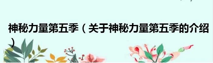神秘力量第五季（关于神秘力量第五季的介绍）
