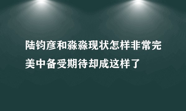 陆钧彦和淼淼现状怎样非常完美中备受期待却成这样了