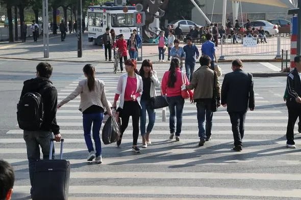 中国式过马路的各界评论