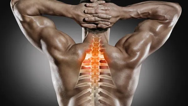 颈椎病手发麻是为什么