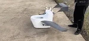 神似梅西男子被民众围堵合影 都想要甜头的动态图