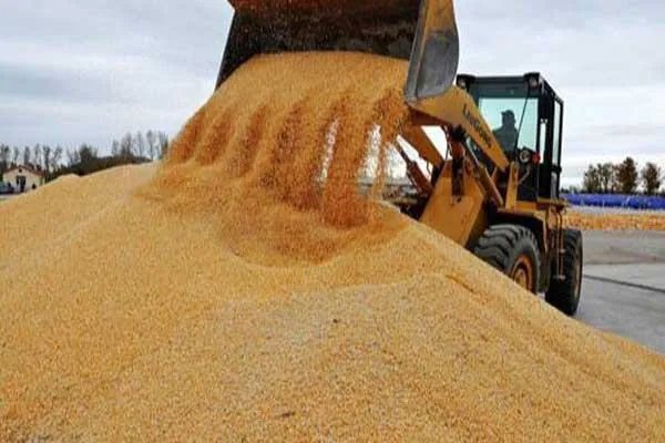 商务部鼓励大家屯粮,现在的情况有必要屯粮吗?