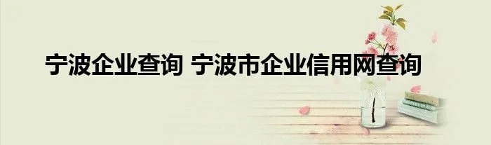 宁波企业查询 宁波市企业信用网查询