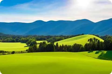 看动物的英文是什么?